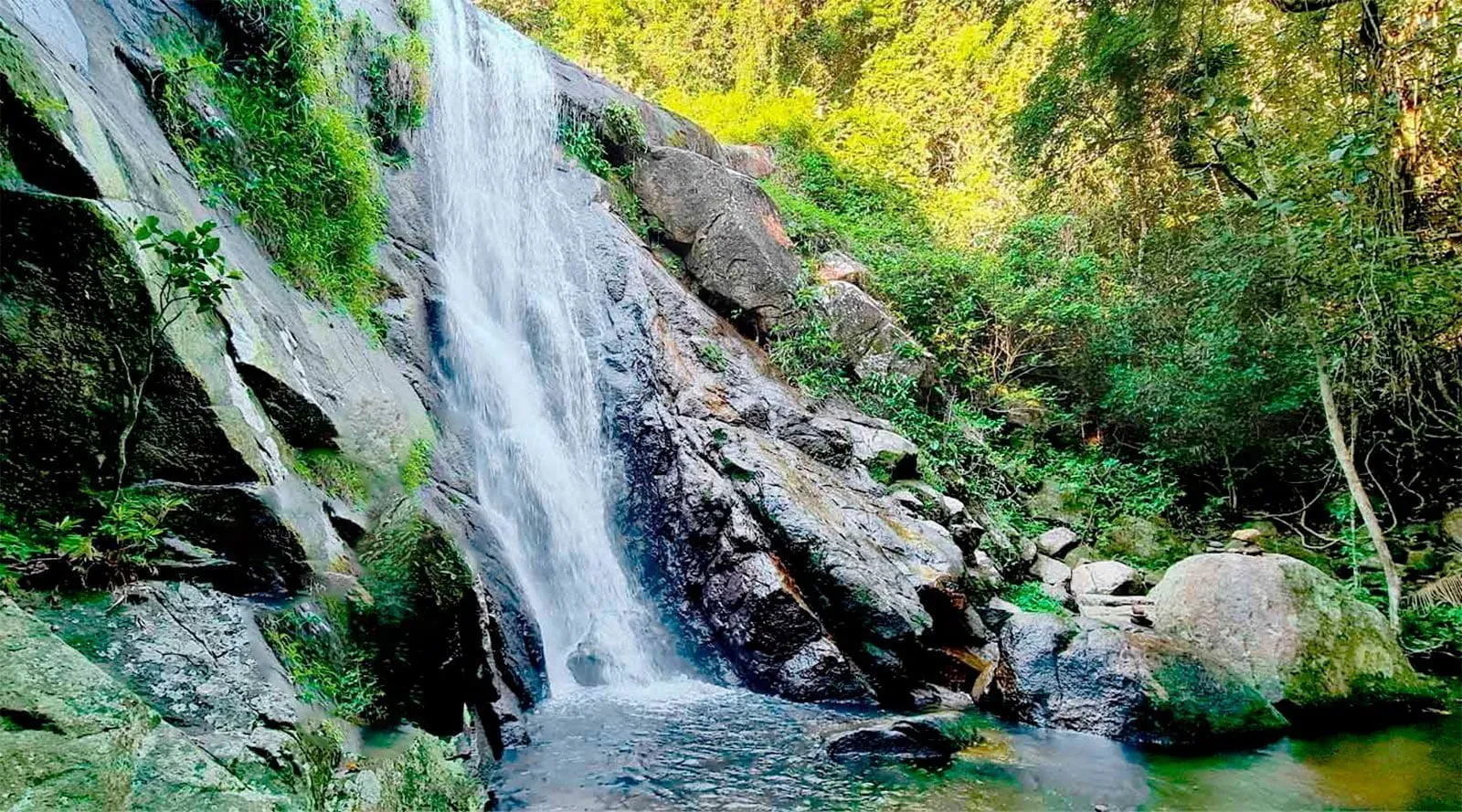 The Cachoeira da Feiticeira waterfall in the rainforest, Ilha Grande