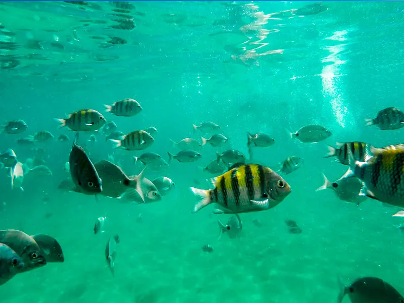 Lagoa Azul, Ilha Grande